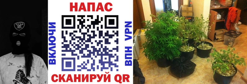 Где продают наркотики Рославль МЕТАДОН  Мефедрон  Альфа ПВП  ГАШ  Каннабис 